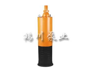 QXN內裝式礦用潛水泵